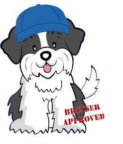 BruiserApproved_Final [Converted]